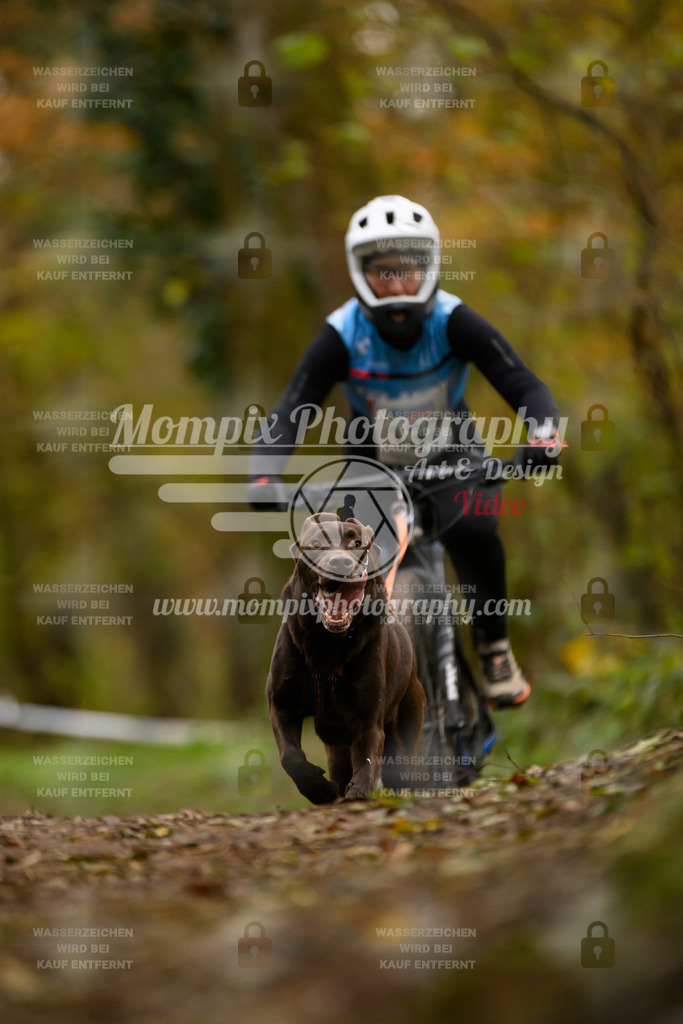 MompixPhotography_Bischwiller24_SA_VTT-65 | PayLife