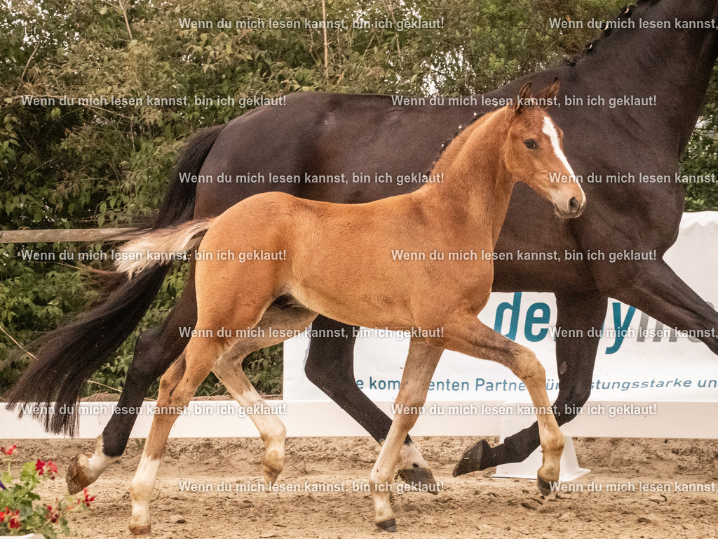 A10I1448 | photographylinaismer - Realisiert mit Pictrs.com