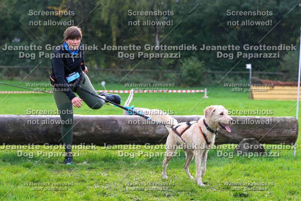 Dog Paparazzi -  SD1026-1958 | Dog Paparazzi Jeanette Grottendiek Fotografie & Videografie - Realisiert mit Pictrs.com