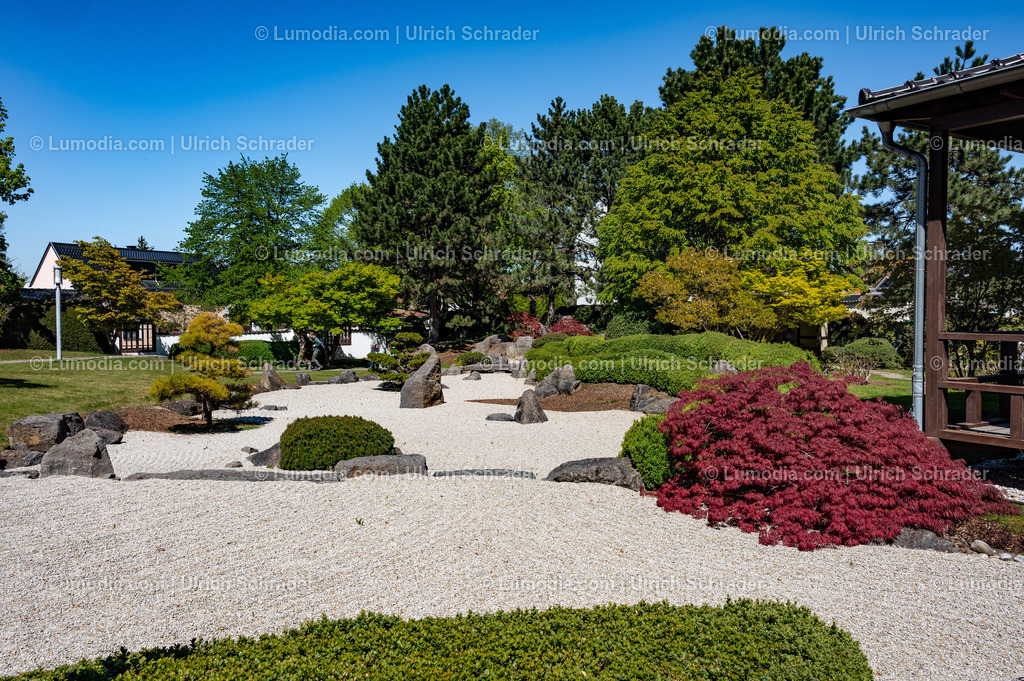 10049-14032 - Japanischer Garten in Bad Langensalza | Stockfoto und Bilderpool mit Bildmaterial aus Deutschland, dem Harz, Halberstadt, Quedlinburg, Wernigerode und weltweit. Qualitativ hochwertige und professionelle Fotos anschauen und kaufen. - Realisiert mit Pictrs.com