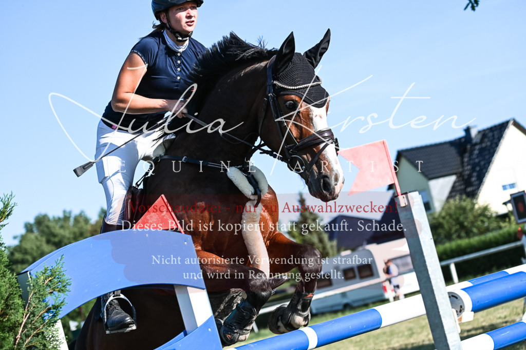 DSC_2899 | Pferde- und Turnierfotografie in Westsachsen. Pferdeportraits, Auftragszeichnungen und intuitive Kunst.