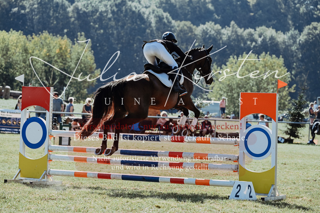 DSC_5574 | Pferde- und Turnierfotografie in Westsachsen. Pferdeportraits, Auftragszeichnungen und intuitive Kunst.