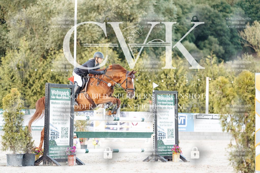 CK901503 | Turnierfotografie Pferdefotografie Trier Rheinland-Pfalz Pferdesport Reitsport Tierfotografie Sportfotografie Pferdevideo Pferdevideografie Equestrianvideography equestrianphotography  - Realisiert mit Pictrs.com