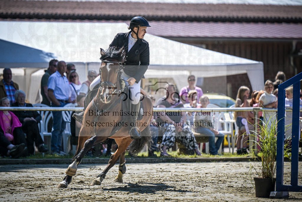 DOS_9941 | Entdecke hochwertige Reitturnierfotos von Foto Oger. Professionell, emotional und authentisch – jetzt Lieblingsmomente im Shop bestellen.Deutschlandweite Turnierfotografie. - Realisiert mit Pictrs.com