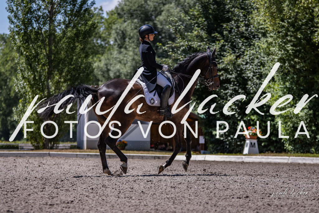 IMG_8410 | Erleben Sie dynamische Sport- und emotionale Tierfotografie in Süddeutschland mit Fotos von Paula. Spezialisiert auf Pferde- und Hundefotografie sowie Sportevents. Kontaktieren Sie mich für einzigartige und ausdrucksstarke Bilder Ihrer besonderen Momente. - Realisiert mit Pictrs.com