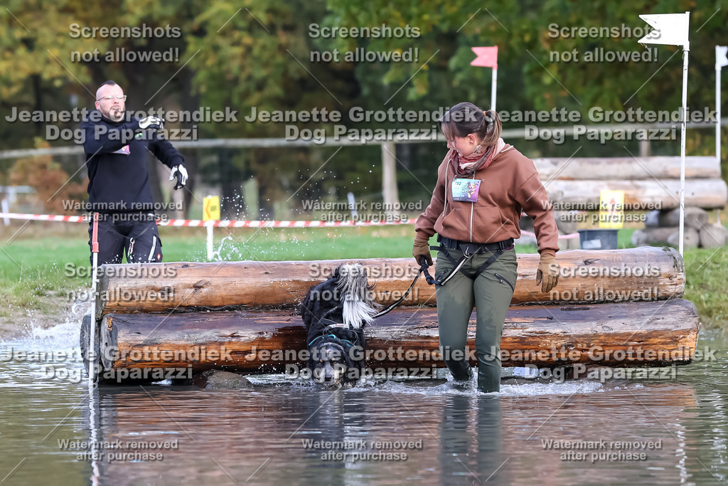 Dog Paparazzi - Strongdog 10-25-6937 | Dog Paparazzi Jeanette Grottendiek Fotografie & Videografie - Realisiert mit Pictrs.com