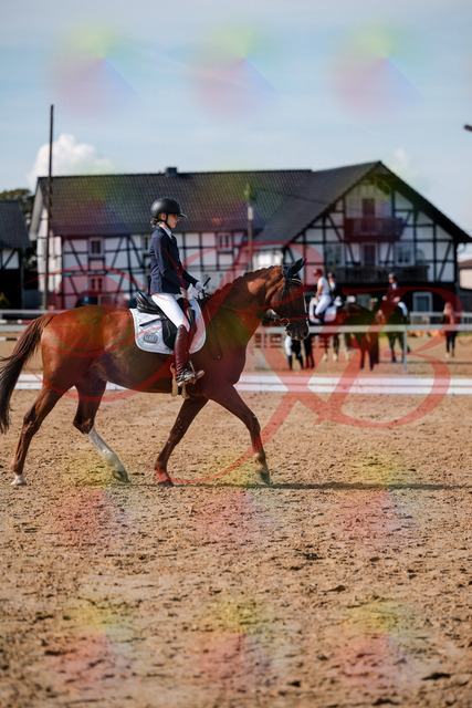 2026_10_03_Siefer-Hof_132844_Z63_89871254 | Professionelle Reitsport-, Turnier- und Eventfotografie von Robert Broda. Galerien mit ausgewählten und bearbeiteten Bildern direkt online ansehen und bestellen.