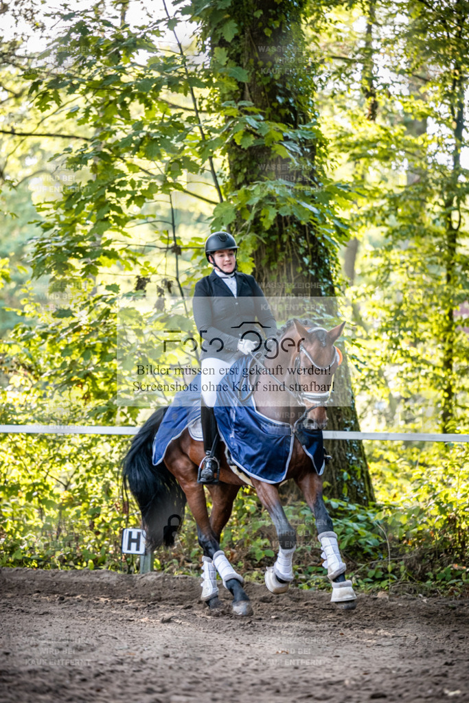 2026-10-Helle-14-0034 | Entdecke hochwertige Reitturnierfotos von Foto Oger. Professionell, emotional und authentisch – jetzt Lieblingsmomente im Shop bestellen.Deutschlandweite Turnierfotografie. - Realisiert mit Pictrs.com