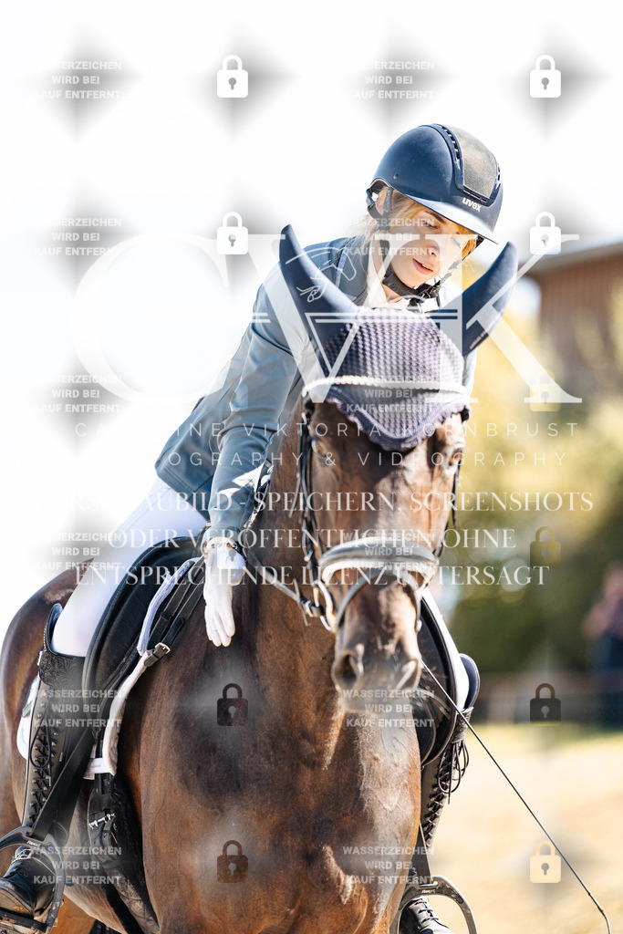CK909850 | Turnierfotografie Pferdefotografie Trier Rheinland-Pfalz Pferdesport Reitsport Tierfotografie Sportfotografie Pferdevideo Pferdevideografie Equestrianvideography equestrianphotography  - Realisiert mit Pictrs.com