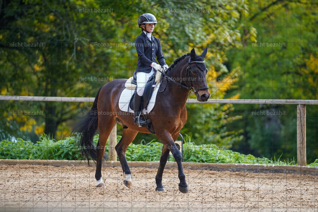 20221008-FAH00763 | Diessen am Ammersee, 2022, Dressur- und Springturnier, Reitsportbilder, Turnierfotografen Bayern, Pferdefotografen, Fotoagentur Herrmann, Turnierbilder