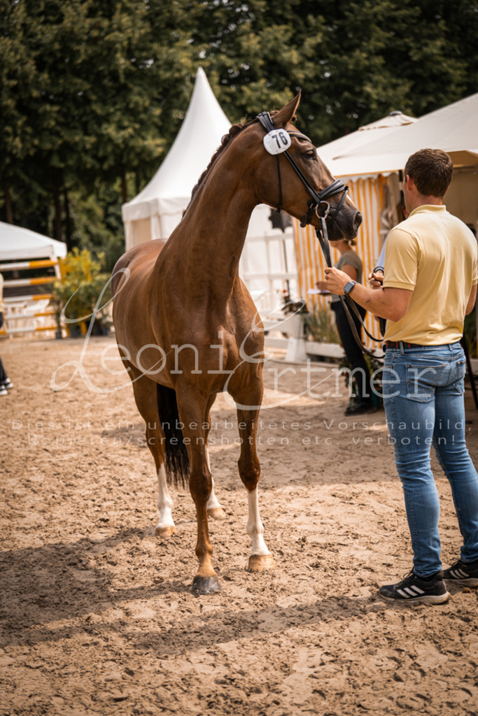 4.Fr00207 | Leoni Ertmer Photography - Realisiert mit Pictrs.com