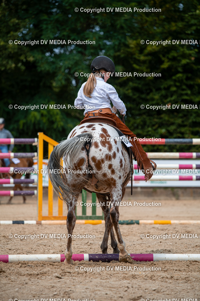 ZS2_8219 | dv-media-shop - Realisiert mit Pictrs.com