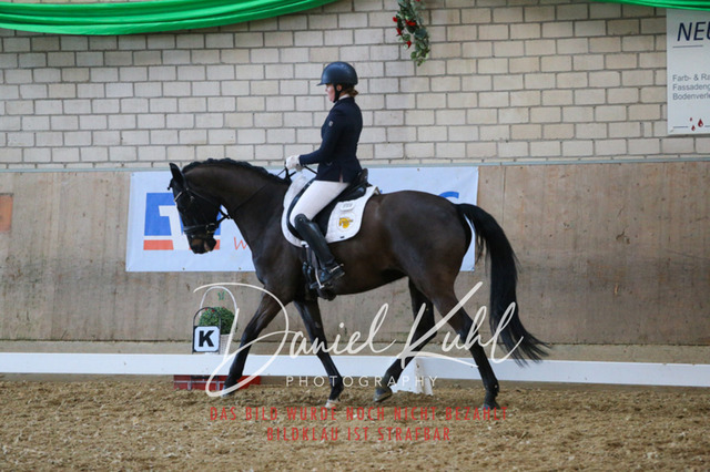 IMG_2674 | Turnierfotos kaufen im Webshop von Daniel Kuhl Photography – entdecke professionelle Reitsportfotos aus Turnieren & Events. Hochwertige Turnierbilder online bestellen & sichern. Jetzt Fotos von Reitsportturnieren kaufen!