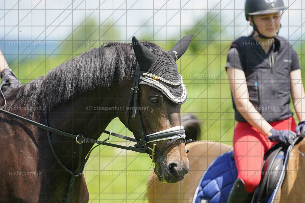 20240622-FAH07221 | Turnierfotografen Bayern, Reitsportbilder aus dem Geländekurs mit Felix Etzel auf dem Gut Waitzacker 2024