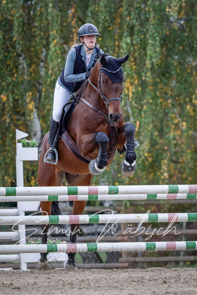 20251012-_3LI4558 | Tierfotografie Pferde, Hunde, Katzen, Haustiere.
Turnierfotografie Reitturniere, Reiten, Springreiten, Dressur in Hanau, dem Main-Kinzig-Kreis und dem Rhein-Main- Gebiet um Frankfurt
