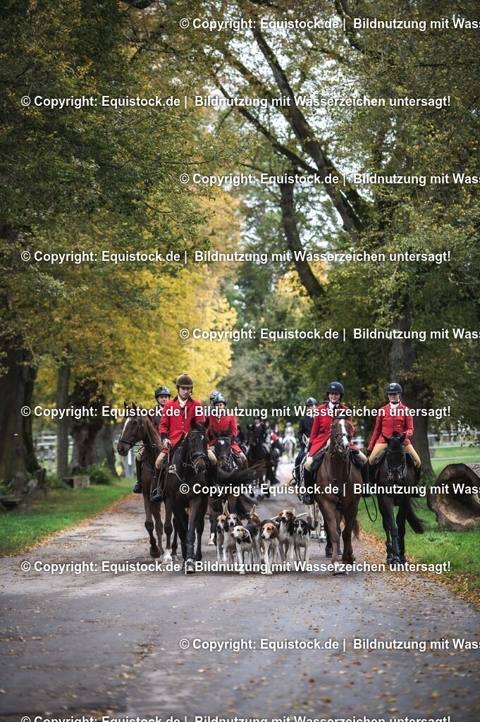 20241013_Jagd-Marbach_0488 | Foto: Thomas Hartig