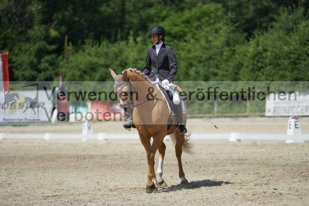 DSC01707 | equestrian-live-com