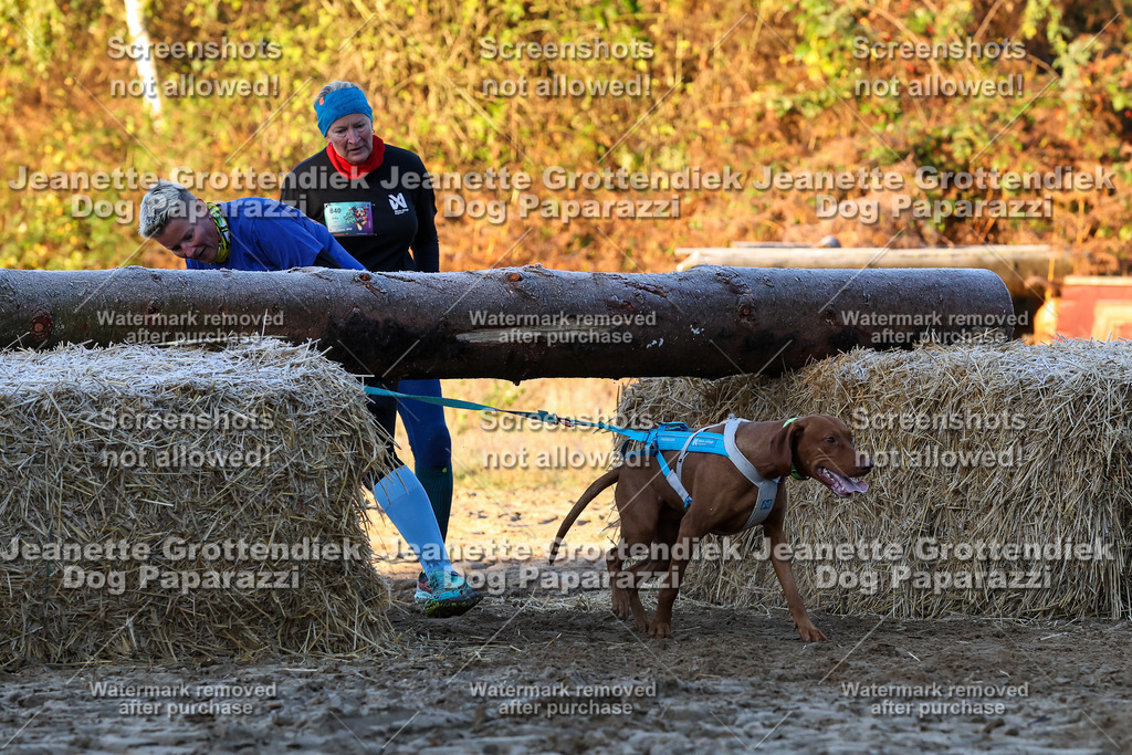 Dog Paparazzi - Strongdog 10-25-463 | Dog Paparazzi Jeanette Grottendiek Fotografie & Videografie - Realisiert mit Pictrs.com