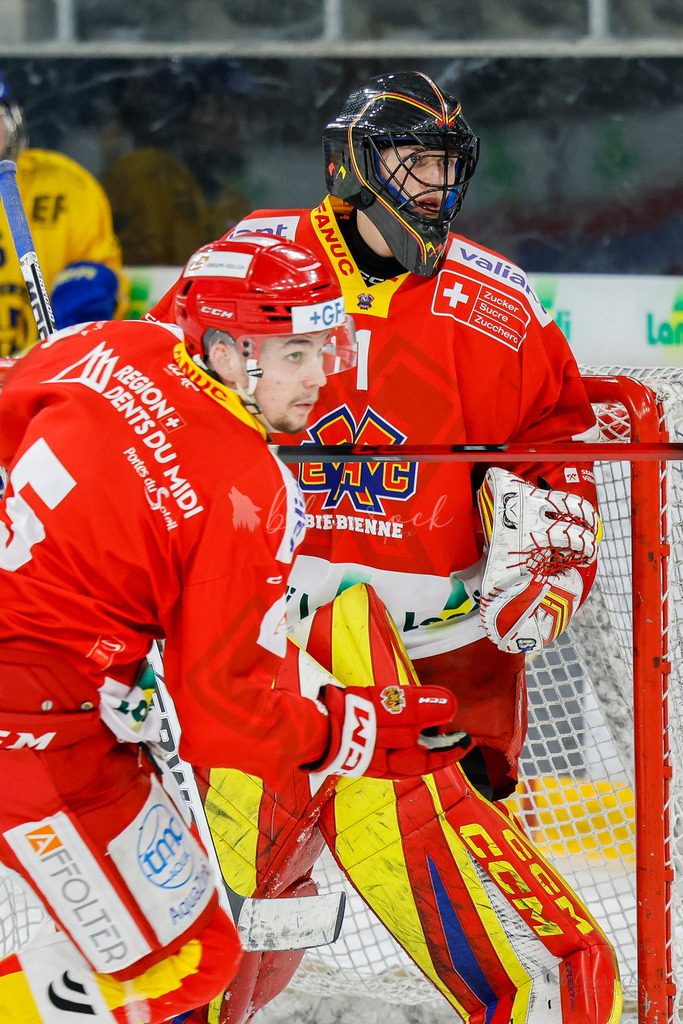 U21_EHCB vs HCD_wb20260308-0231 | Sportbilder, Sportfotograf, Hochzeits- und Eventfotografin, Flugshows, Portraits und Tiershooting, Aviation, Downhill, Nationalleague, Swissleague, International