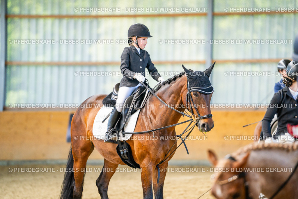 DSC02783 | Pferdegrafie