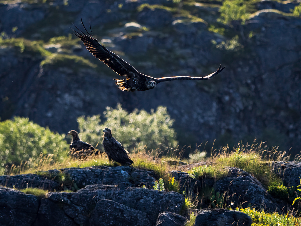 P1001523-Bearbeitet-2022-LR | Natur im Moment - Realisiert mit Pictrs.com