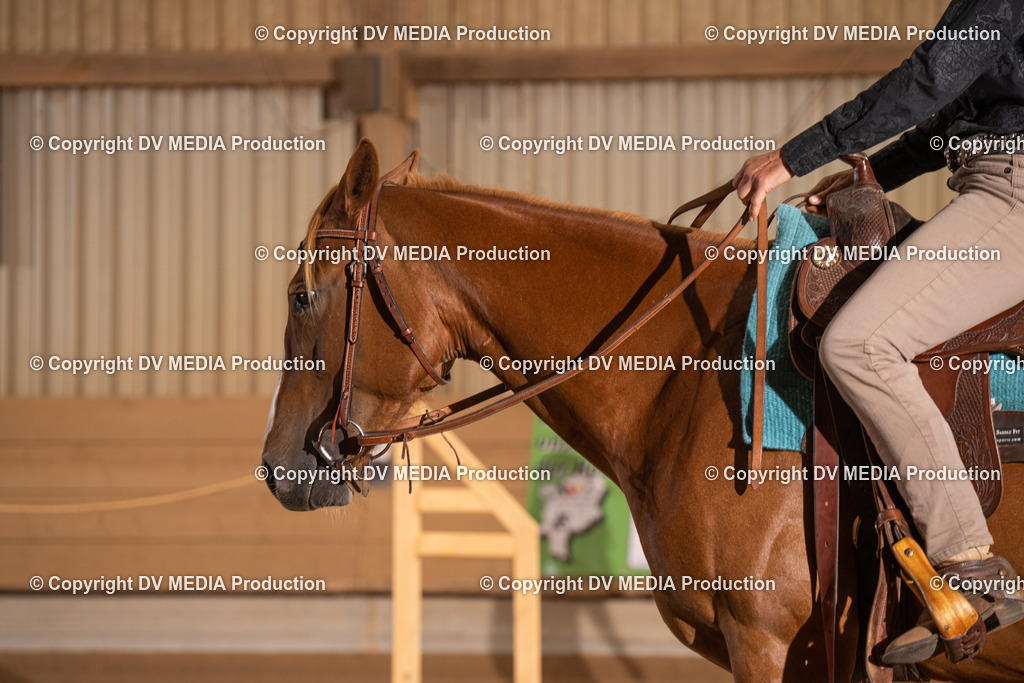 NID00744 | dv-media-shop - Realisiert mit Pictrs.com