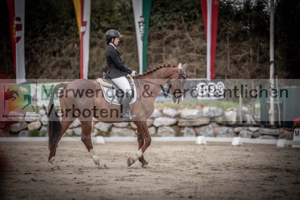 DSC_3043 | equestrian-live-com