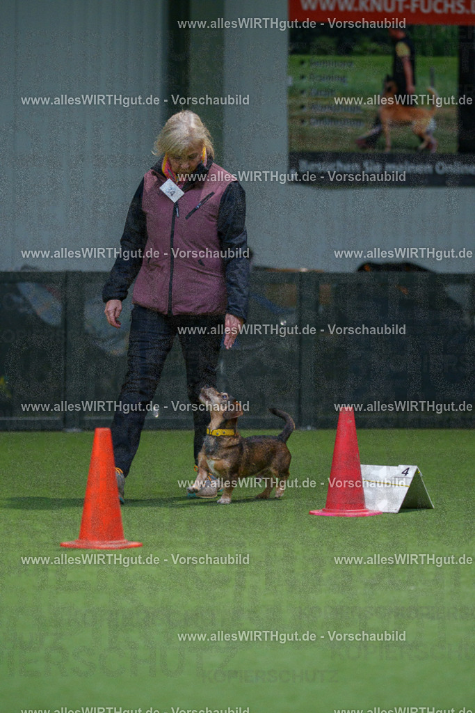 7R505863 | Professionelle Tierfotografie in Mönchengladbach von Daniel Wirth (allesWIRTHgut). Liebevolle & natürliche Bilder von Hunden & Katzen für unvergessliche Erinnerungen.