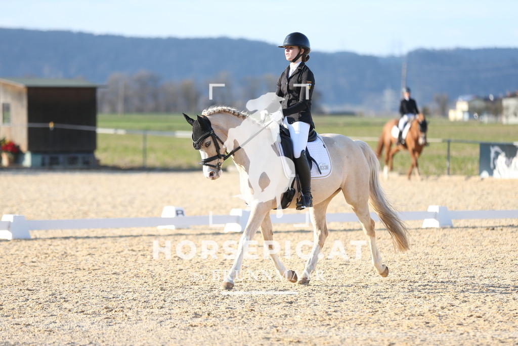 AS8V2244 | Willkommen bei Brunnmayr - Design & Fotografie – Ihrem Spezialisten für Reitturniere und Pferdeveranstaltungen in Oberösterreich, Salzburg und Bayern! Seit über 17 Jahren sind wir leidenschaftlich dabei.