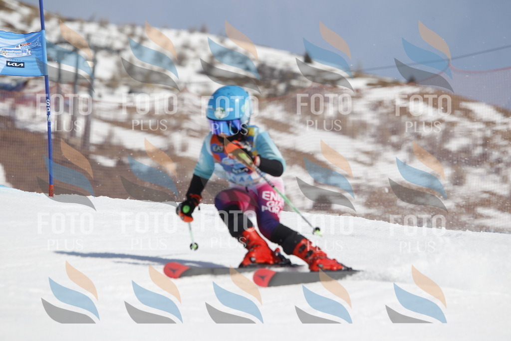 _U3G1047 | holidayphoto