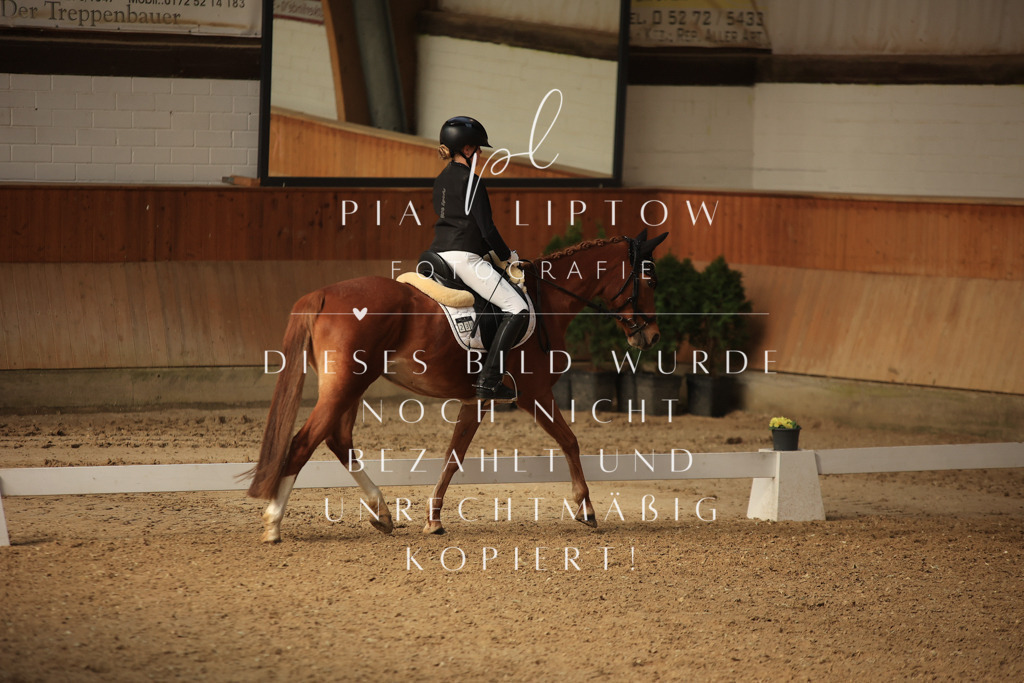 IMGT5512 | pl-fotografie