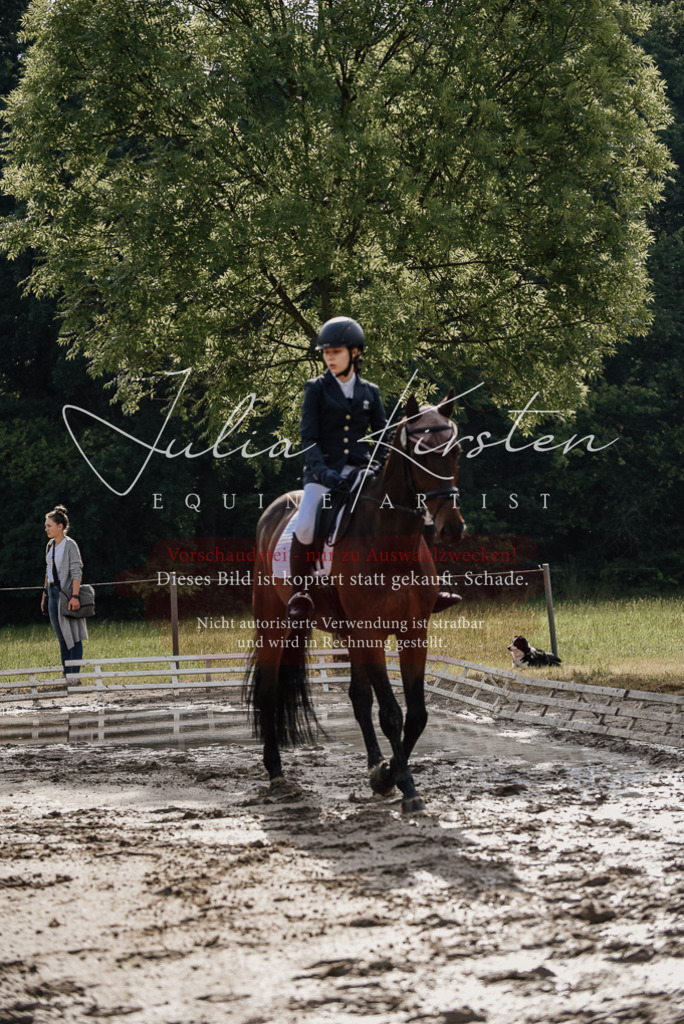 DSC_8544 | Pferde- und Turnierfotografie in Westsachsen. Pferdeportraits, Auftragszeichnungen und intuitive Kunst.