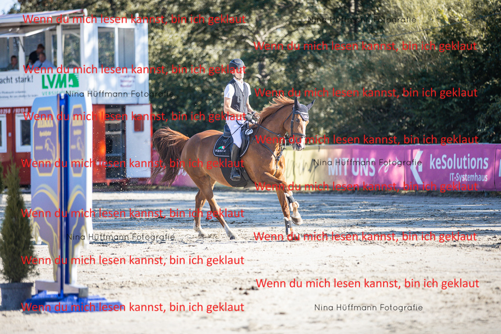 BK1A7550 | Turnierbilder Turnierfotos Nina Hüffmann Turnierfotografie Pferdefotografie Tierzeichnung Haustierzeichnung Pferdezeichnung Hundezeichnung Videograf  - Realisiert mit Pictrs.com