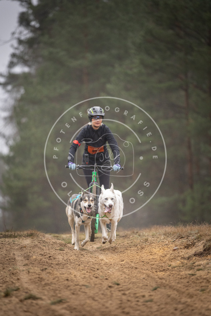 Pfotenfotografie_DV3A1237 | Hundefotografie, Tierfotograf, Pfotenfotografie, Fotoshooting Hund, Hunde Portrait, Hundesport, Hundeportraits, Heideshooting, Hunde, Sportfotograf, Hundefotograf, Turnierhundsport, THS,  - Realisiert mit Pictrs.com
