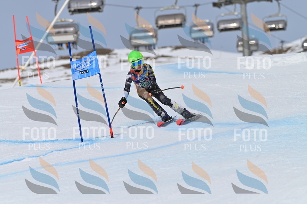 BGV_5159 | holidayphoto