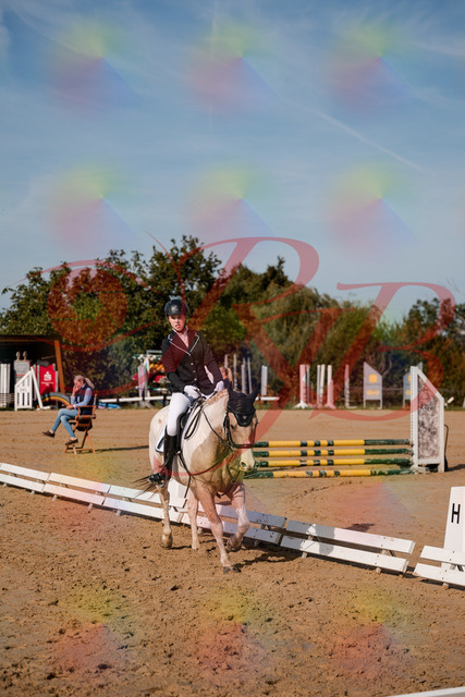 2026_10_03_Siefer-Hof_114756_Z63_27414997 | Professionelle Reitsport-, Turnier- und Eventfotografie von Robert Broda. Galerien mit ausgewählten und bearbeiteten Bildern direkt online ansehen und bestellen.