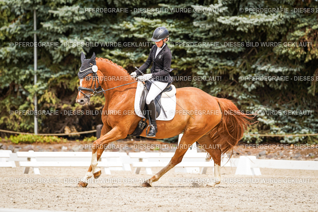 DSC04003 | Pferdegrafie