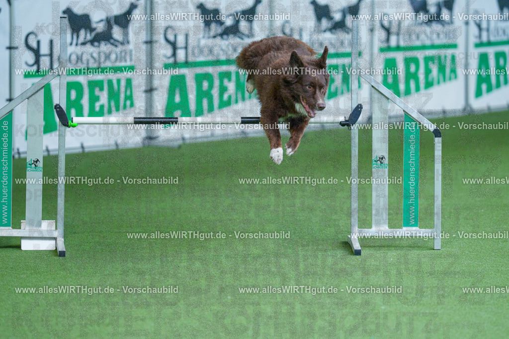 @allesWIRTHgut_Tierfotografie - www.allesWIRTHgut.de - 2604261355-7R502978 | Professionelle Tierfotografie in Mönchengladbach von Daniel Wirth (allesWIRTHgut). Liebevolle & natürliche Bilder von Hunden & Katzen für unvergessliche Erinnerungen.
