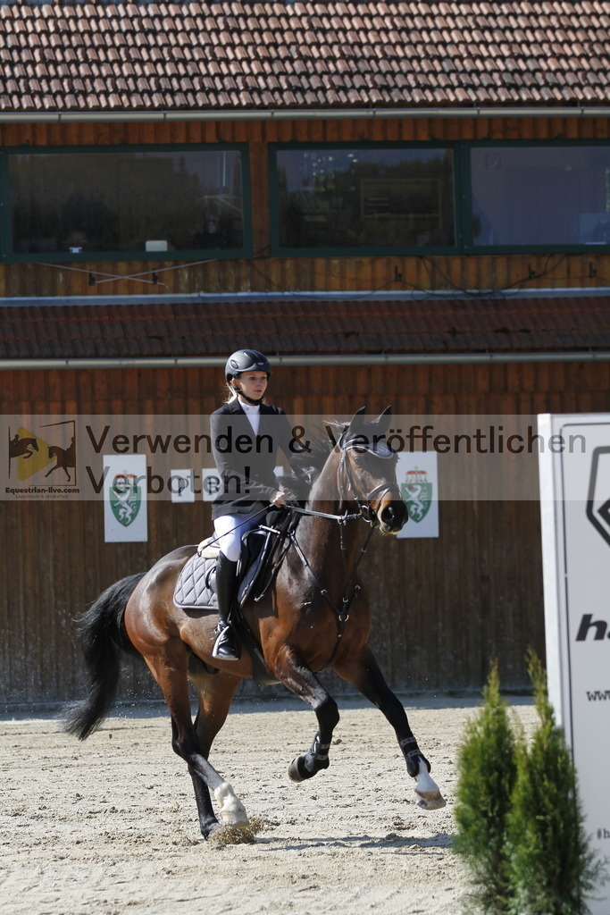 _MG_6703 | equestrian-live-com
