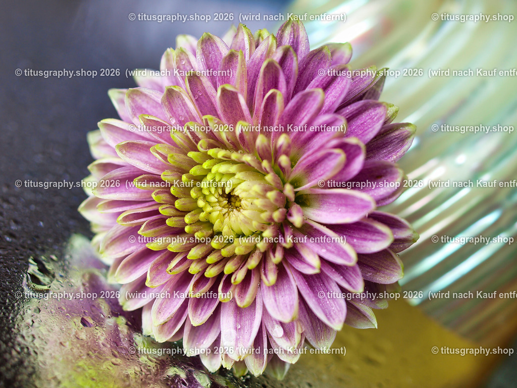 titusgraphy_P7159402-vz-ln | titusgraphy-shop: Geschenkideen mit Qualitätsfotos. titusgraphy-shop: gift ideas with quality photos. titusgraphy-shop: idées cadeaux avec photos de qualité.  - Realisiert mit Pictrs.com