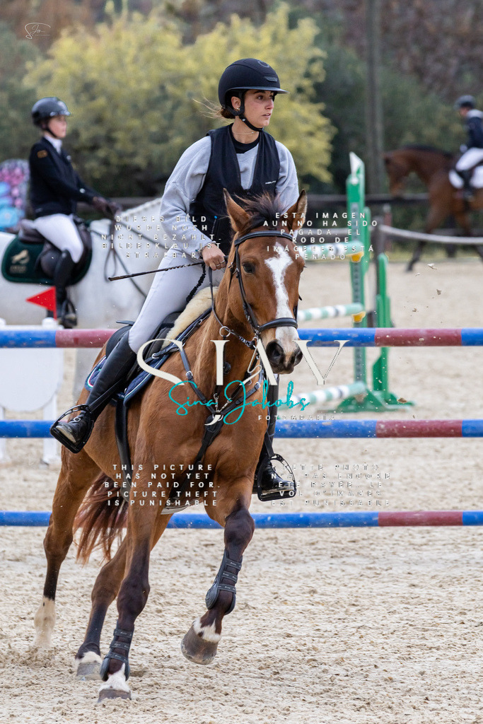 IMG_4220 | s-jay-photography - Realisiert mit Pictrs.com