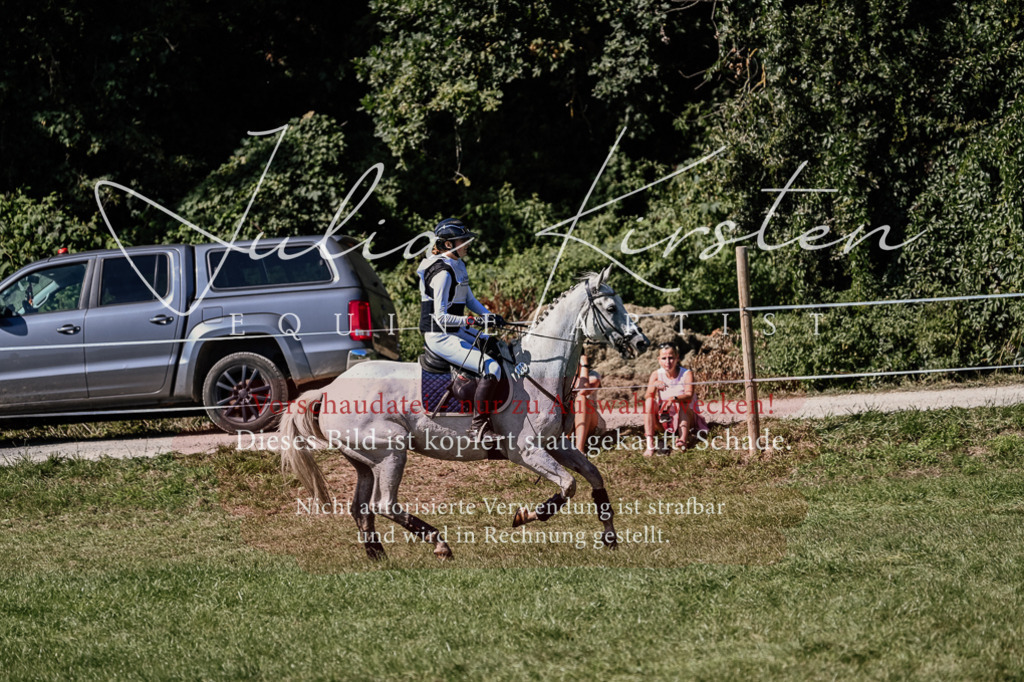 DSC_2048 | Pferde- und Turnierfotografie in Westsachsen. Pferdeportraits, Auftragszeichnungen und intuitive Kunst.