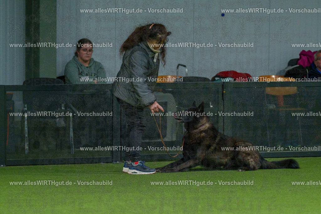 7R504958 | Professionelle Tierfotografie in Mönchengladbach von Daniel Wirth (allesWIRTHgut). Liebevolle & natürliche Bilder von Hunden & Katzen für unvergessliche Erinnerungen.