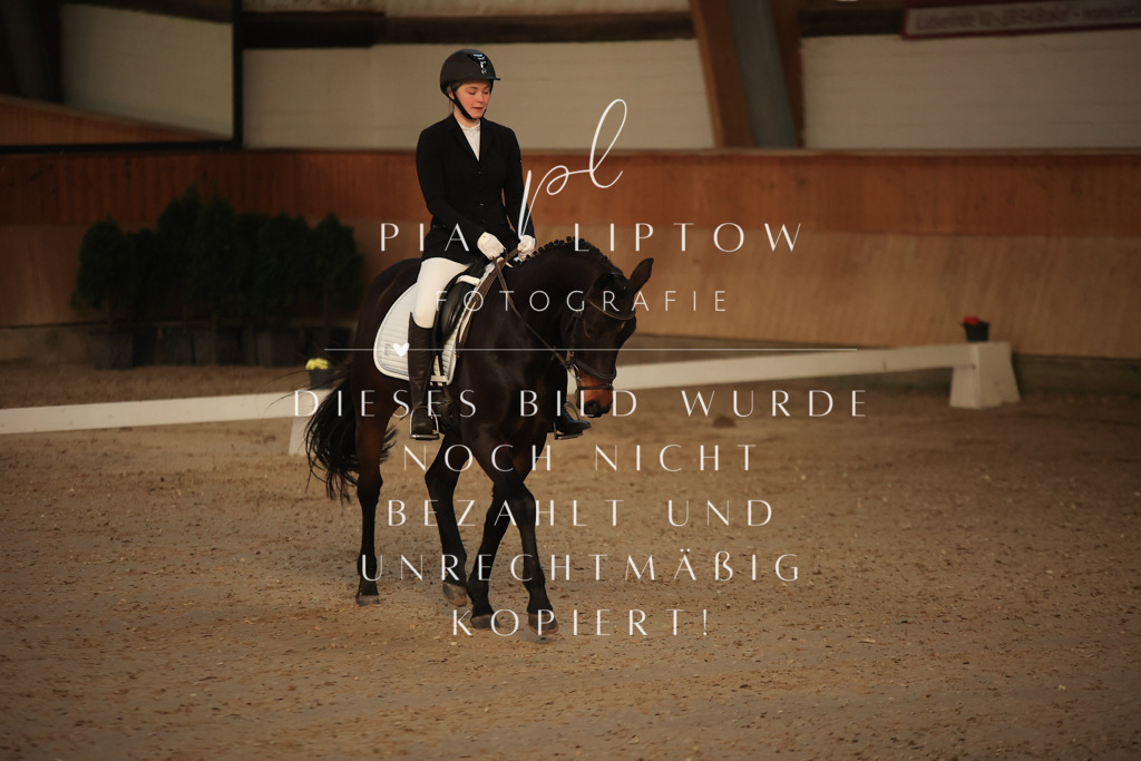 IMGT3172 | pl-fotografie