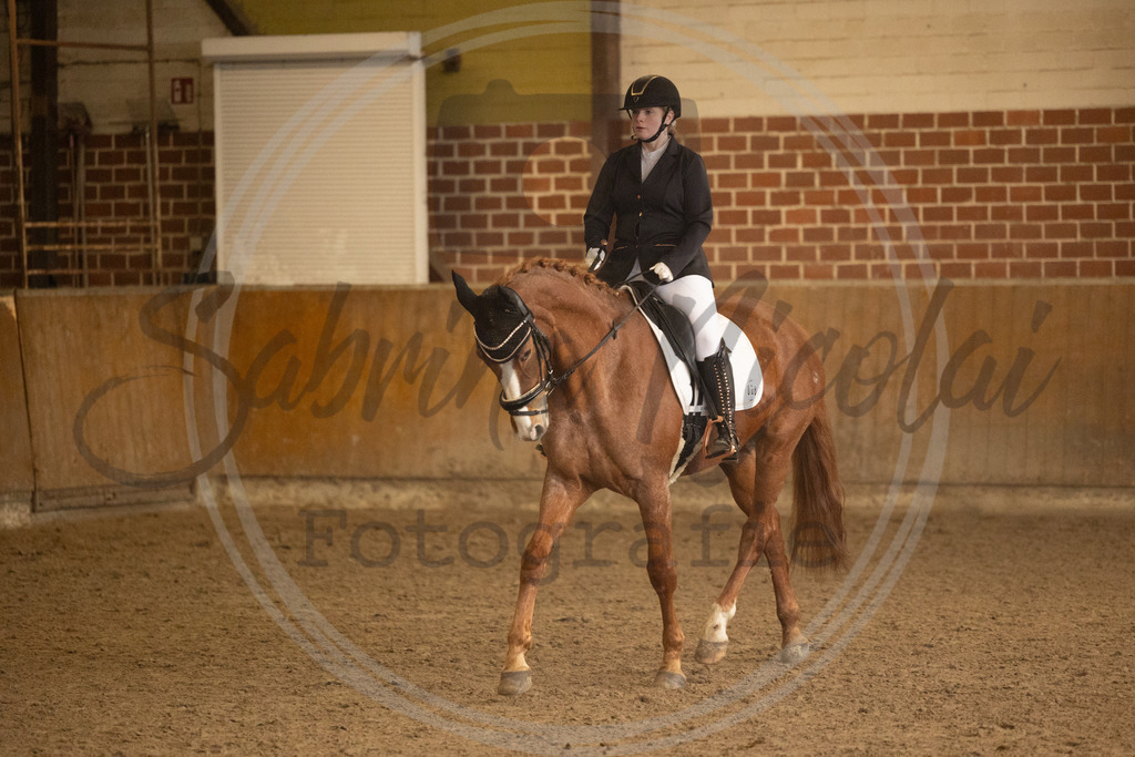 994A9248 | sabrinanicolaifotografie - Realisiert mit Pictrs.com