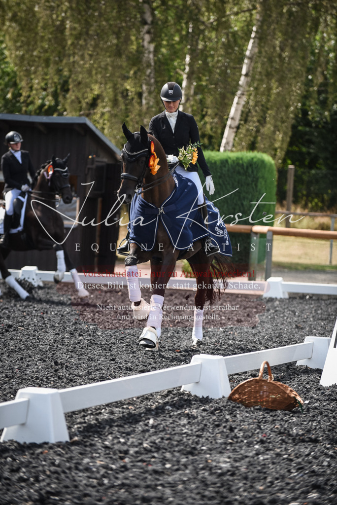DSC_5165 | Pferde- und Turnierfotografie in Westsachsen. Pferdeportraits, Auftragszeichnungen und intuitive Kunst.