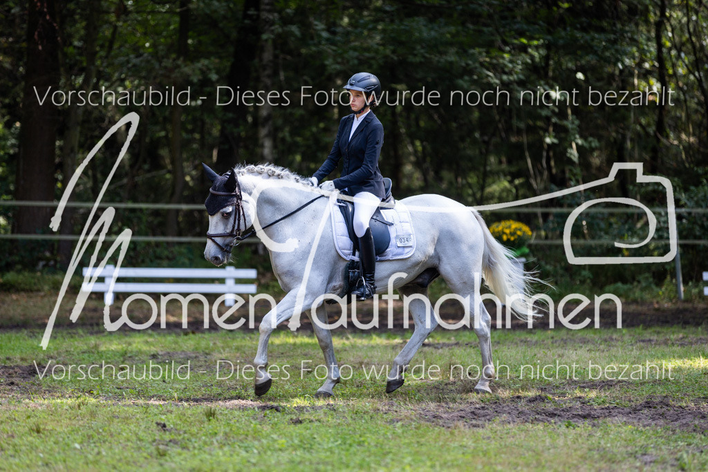 HB-Dressur-WB-107 | MomenTaufnahmen Pferdesportfotos