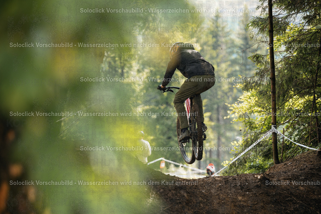 Mountainbike-Action im Wald | Ein Mountainbiker ist in der Luft, während er über einen Hügel in einem dichten Wald springt. Er trägt einen schwarzen Helm und eine dunkle Jacke sowie grüne Hosen. Der Hintergrund besteht aus dichtem Grün und Bäumen, was eine dynamische und actionreiche Szene schafft. Die Szene ist von einem goldenen Licht durchflutet, was einen warmen und dramatischen Effekt erzeugt. - Realisiert mit Pictrs.com