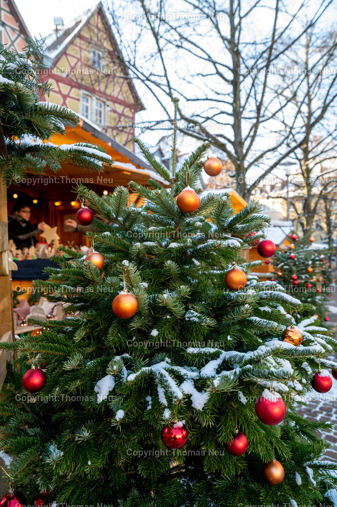 DSC_5290 | Bensheim, Schnee auf einem Weihnachtsbaum auf  dem Weihnachtsmarkt,, Bild: Thomas Neu