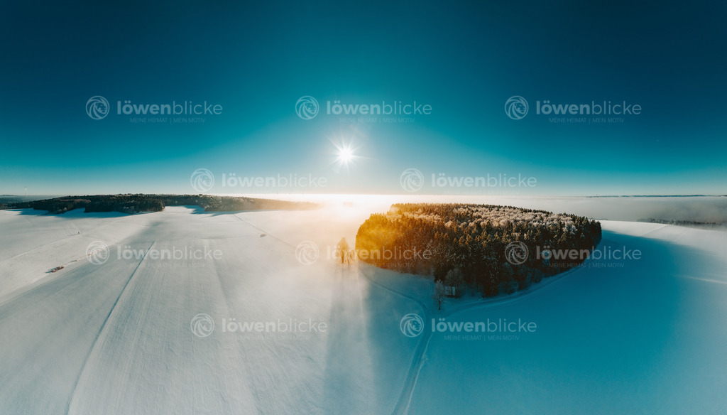 Die Bauminsel im Schnee | löwenblicke | shop